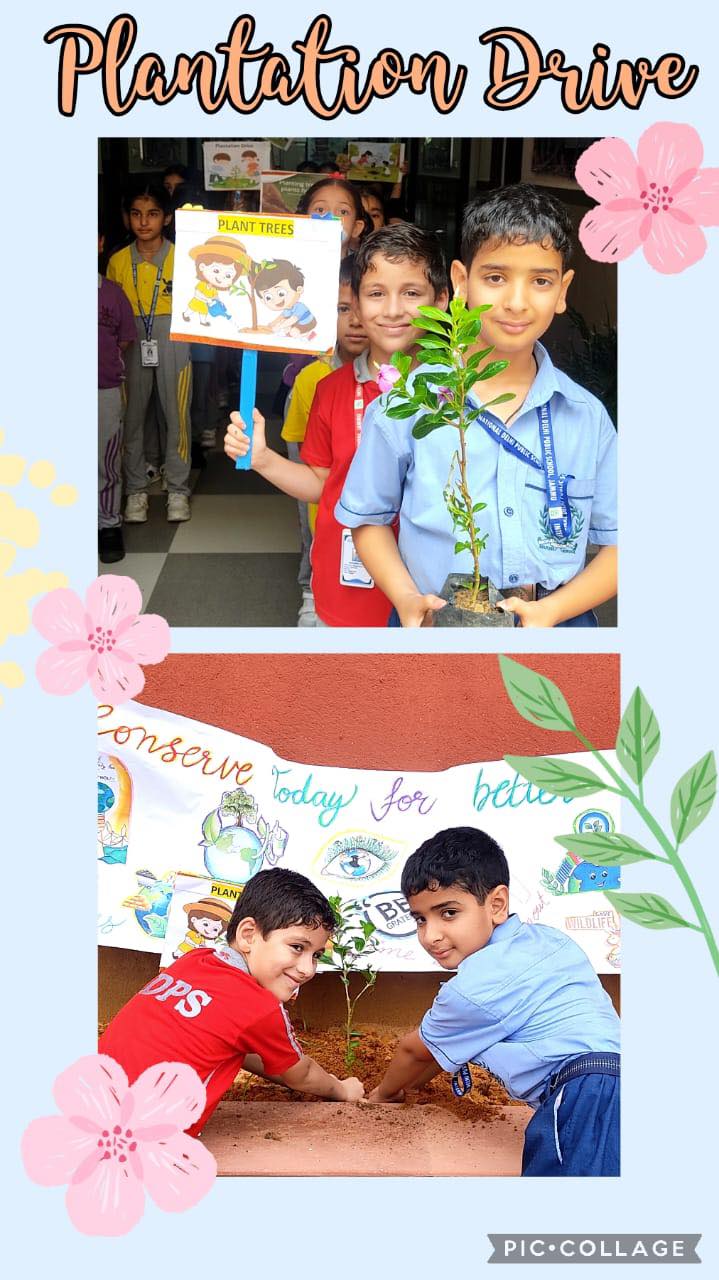 Grade II Students - Plantation Drive